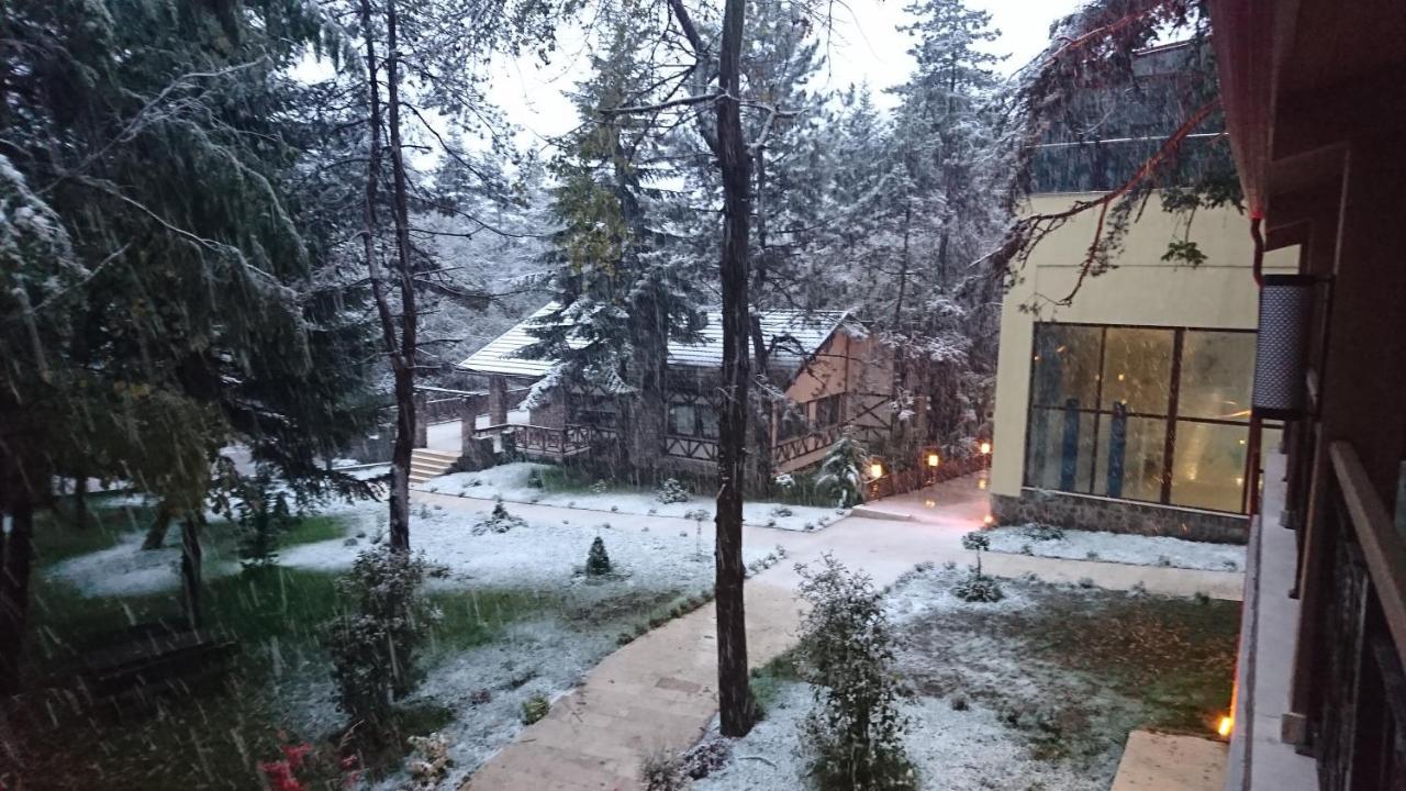 Bolu Koru Hotels Spa & Convention Yolcatı Екстериор снимка