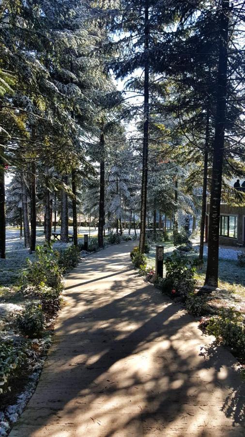 Bolu Koru Hotels Spa & Convention Yolcatı Екстериор снимка