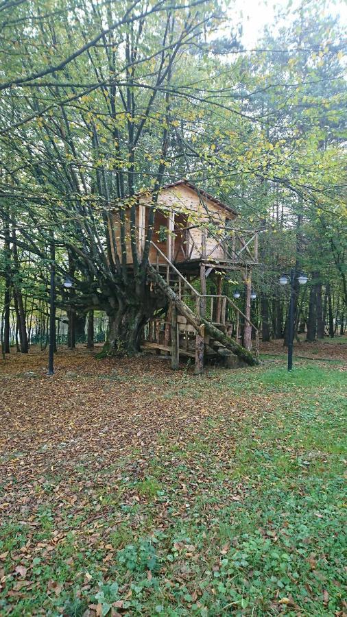 Bolu Koru Hotels Spa & Convention Yolcatı Екстериор снимка
